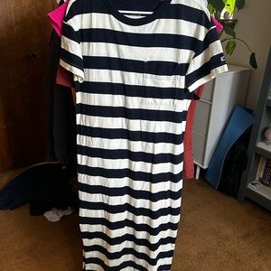 Everlane Navy and Cream Cotton Shirt Dress